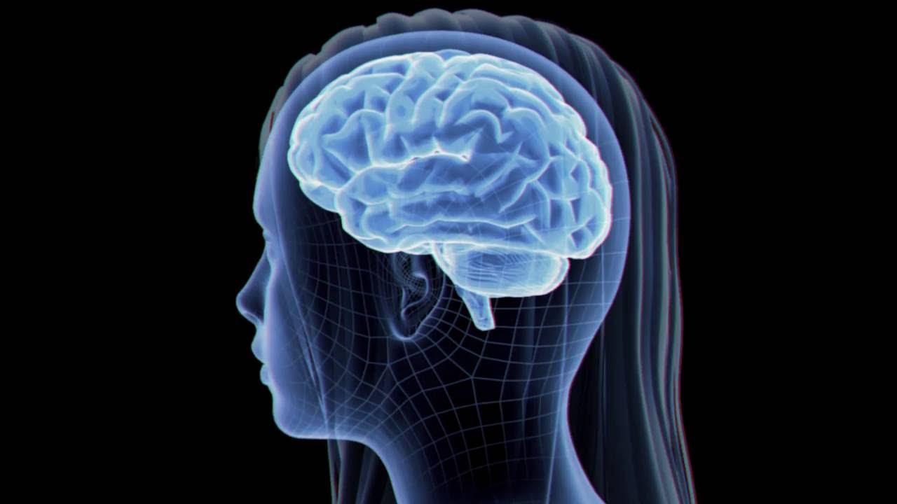 | FRQS | Les oméga-3 : bénéfiques pour la santé du cerveau | Frédéric Calon