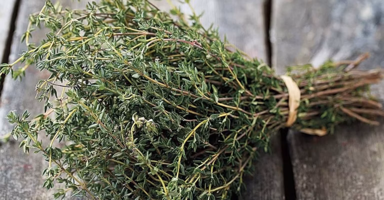 Découvrez l’herbe aromatique naturelle qui lutte contre l’inflammation, équilibre la glycémie et apaise l’anxiété